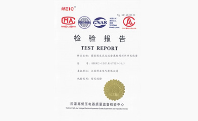 檢驗(yàn)報(bào)告