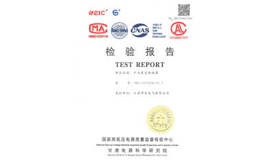 檢驗(yàn)報(bào)告