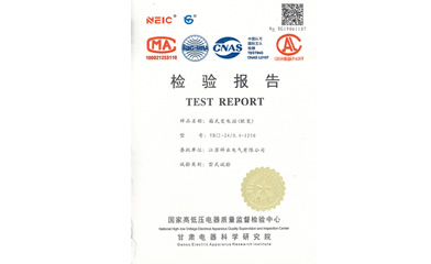 檢驗(yàn)報(bào)告