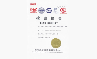 檢驗(yàn)報(bào)告